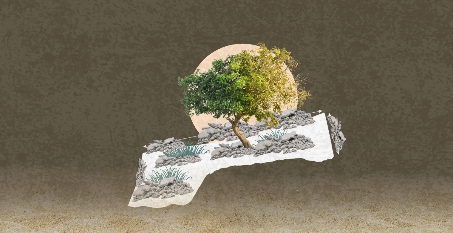 هذا ما جناه الناس: نصف إنتاج غزة الزراعي اختفى 