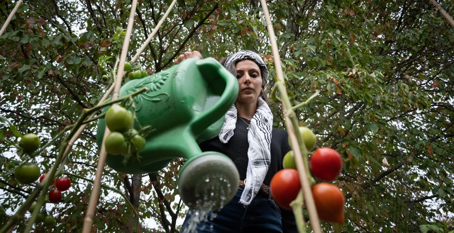 جمانة الرشق وحكاية "الأرض" التي تجري في عروق الفلسطيني