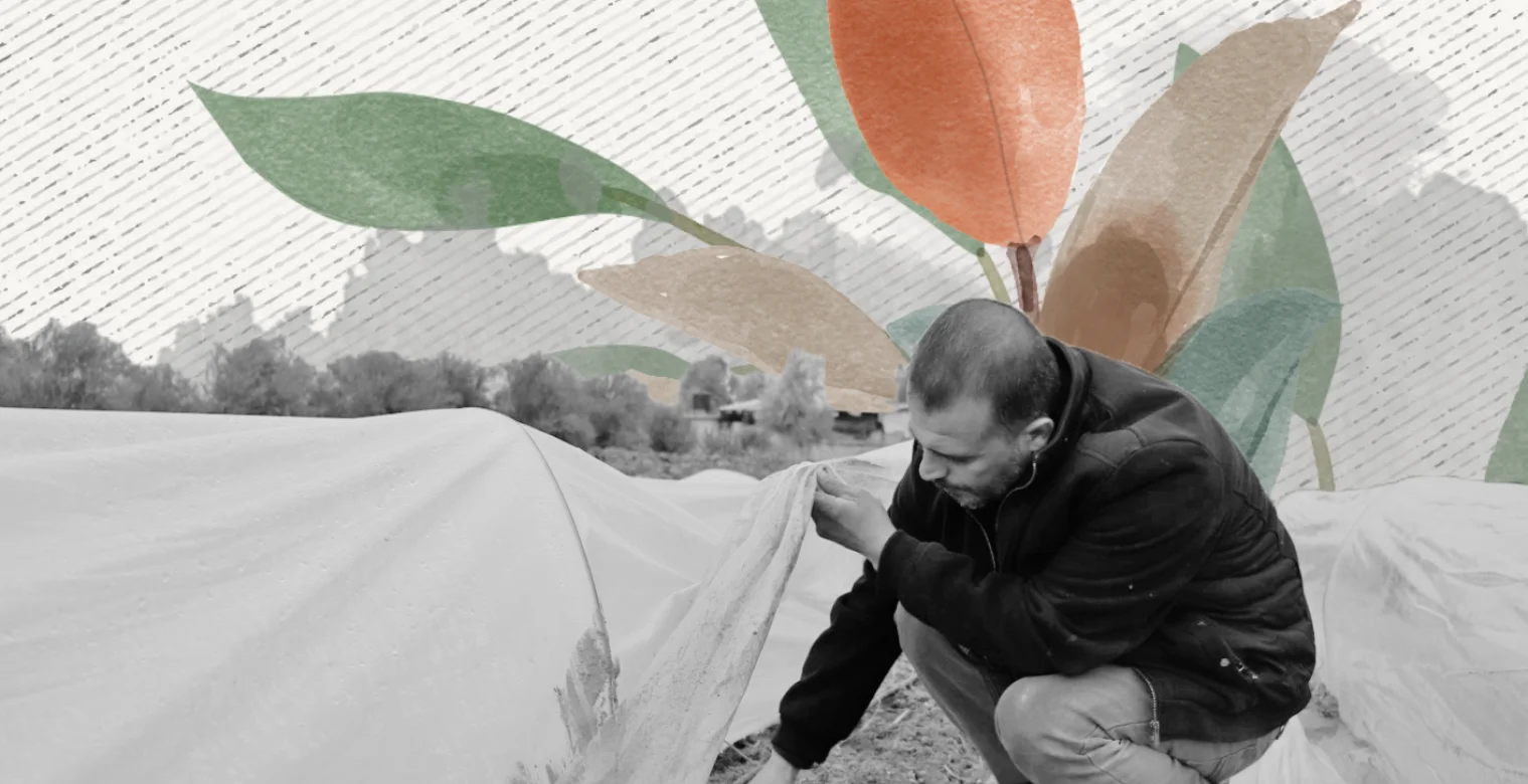 الأنفاق الزراعية فرصة جديدة لدخول المزارع "شمالي" عالم الإنتاج الآمن 