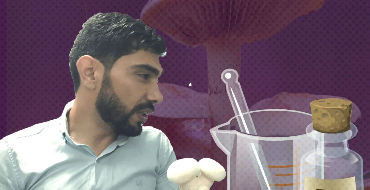 انعدام الخيارات يفتح باباً على الاختراع: إليكم قصة مهندس الفطر الأبيض  