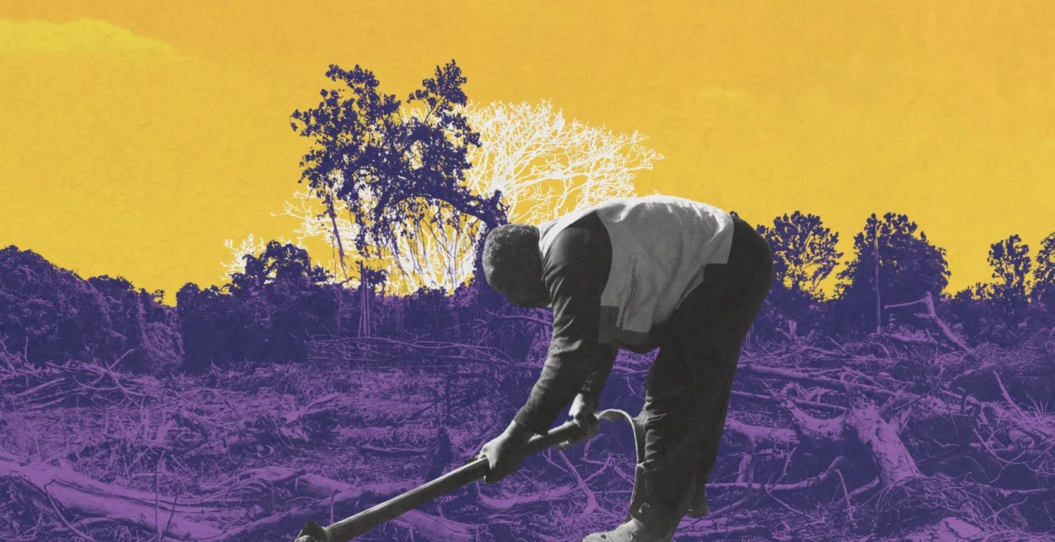 هكذا أعادت الحرب الزراعة للعصر الحجري