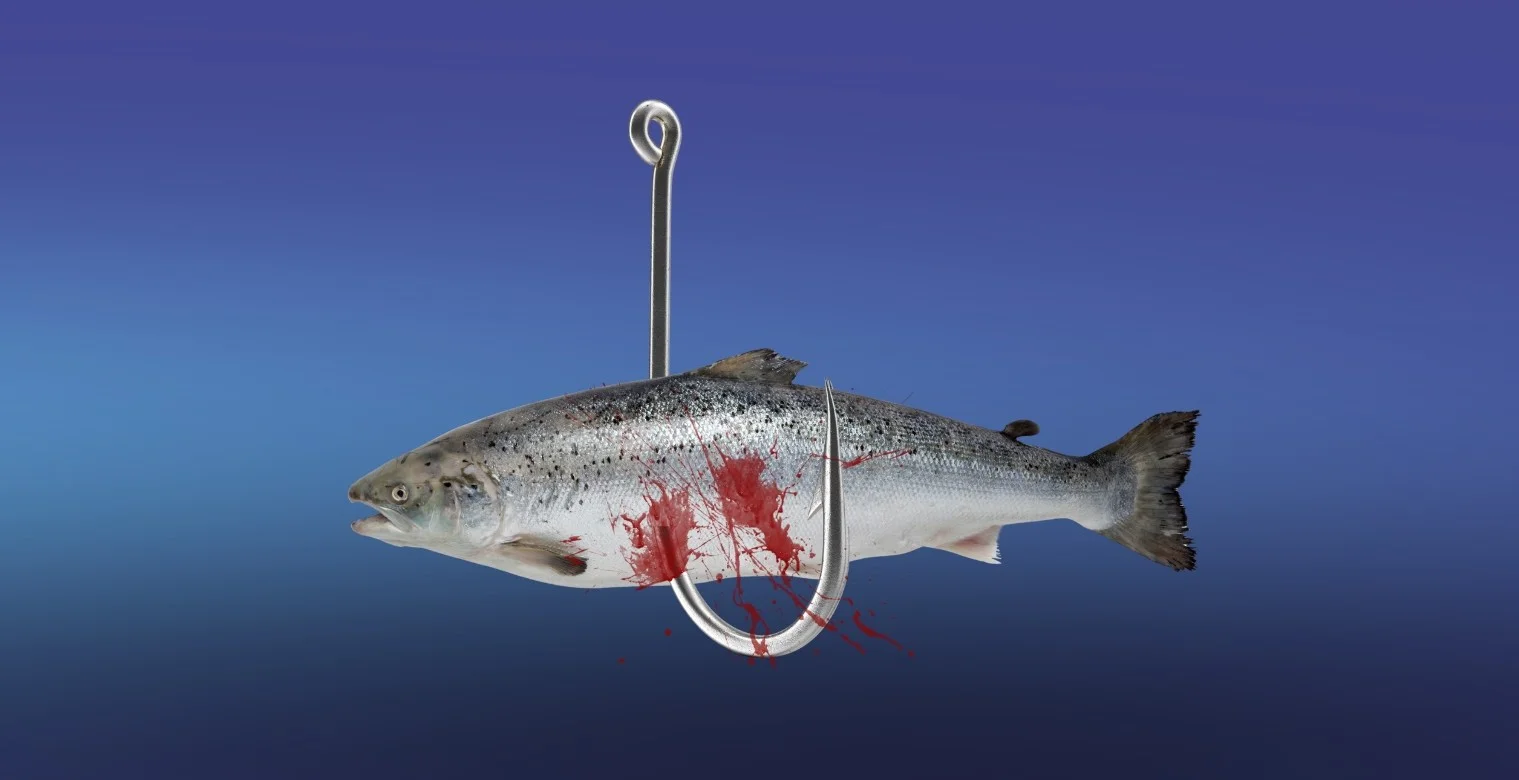 حرب ضد الغذاء: شاطئ مفتوح على الجفاف